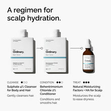 Regimen Infographic Natural Moisturizing Factors + HA for Scalp