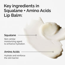 Key Ingredients of the Squalane + Amino Acids Lip Balm