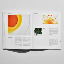 Flatlay of The Ordinary Ingredients hardcover book open to a page that displays controversies and everything is chemicals